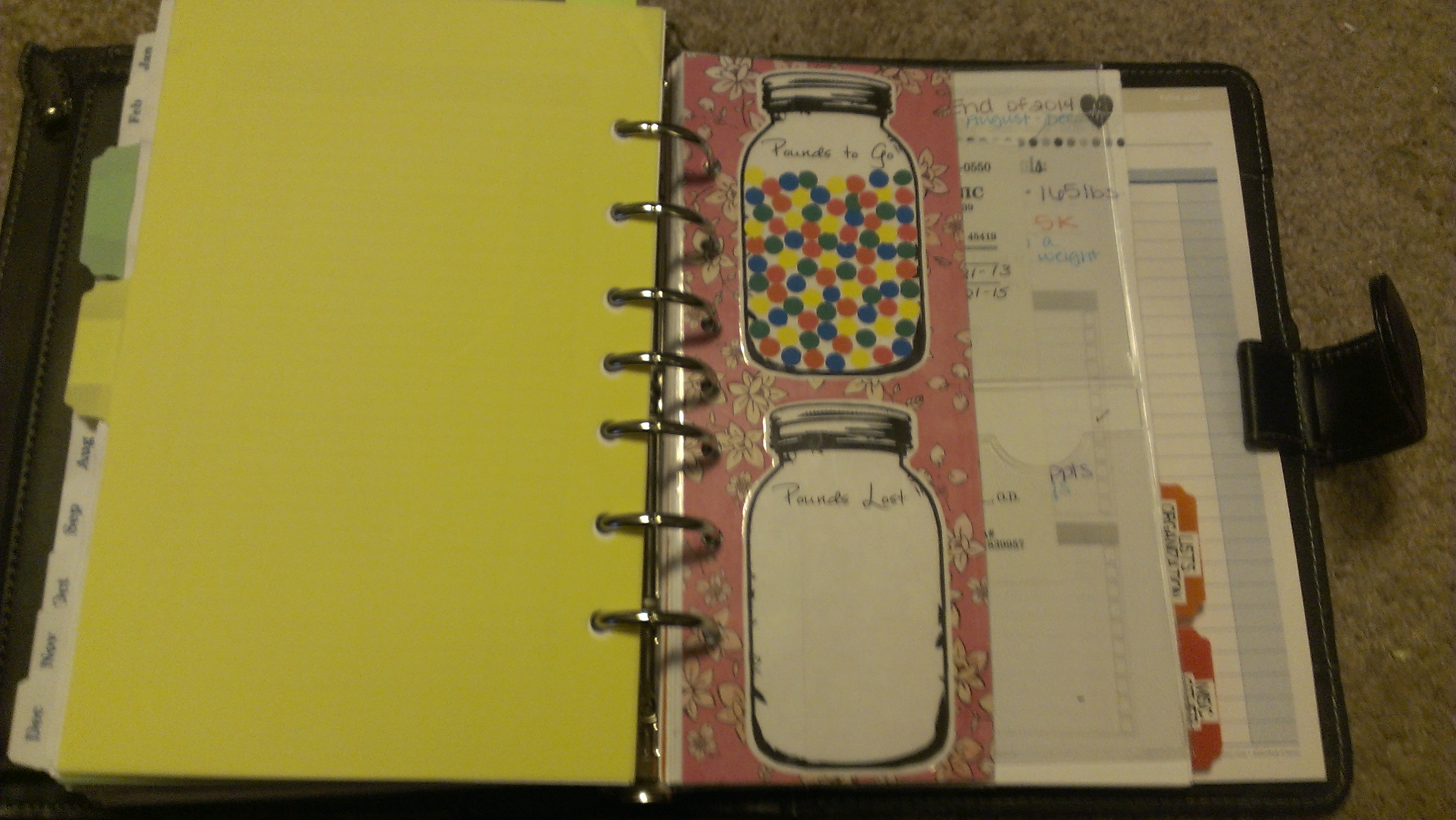 Creative way to track weight loss in Theresa's Franklin Covey Planner
