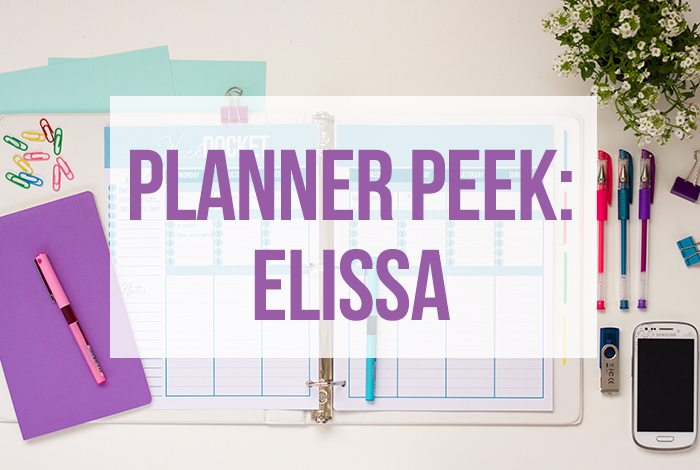 Elissa's Planner Peek Tour