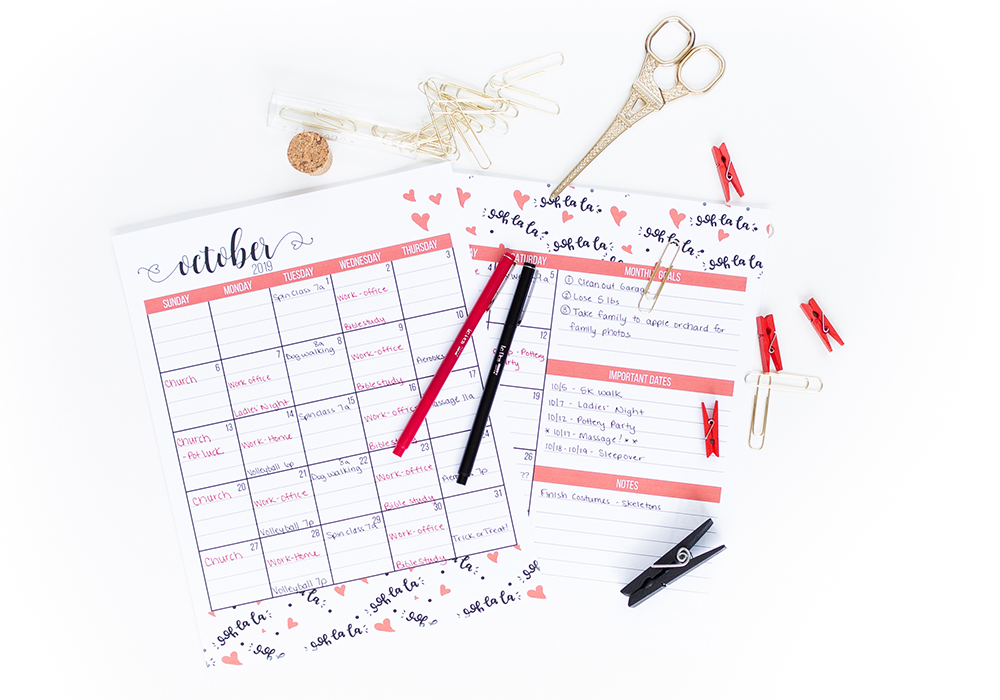 Does the thought of drafting a month long meal plan sound daunting? We will walk you step by step through how to choose the right meals to get your meal planning out of the way for a whole month!